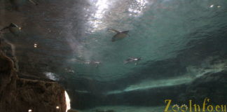 Zoo Wuppertal Zoo-Wuppertal