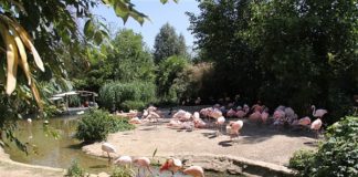 Zoo Hannover zoo-hannover