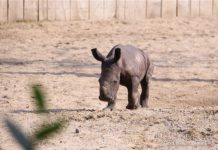 Allwetterzoo Münster zoo-muenster