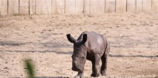 Allwetterzoo Münster zoo-muenster